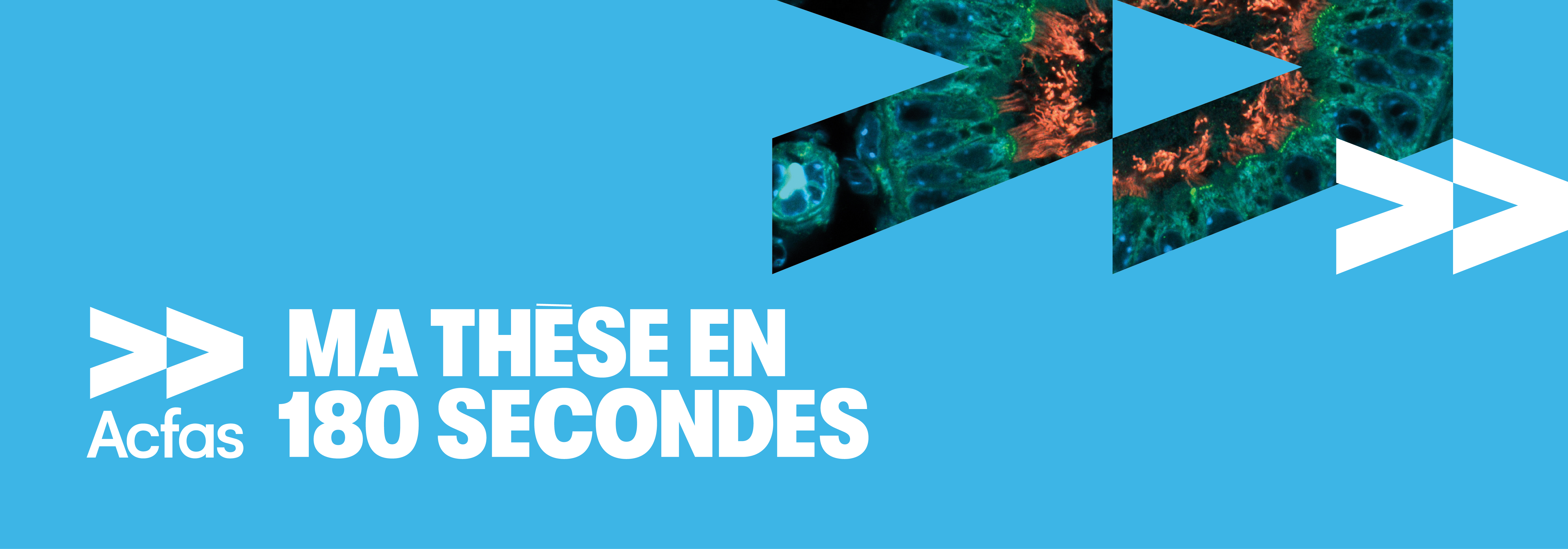 Logo du sondage